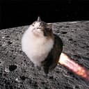 MoonCat