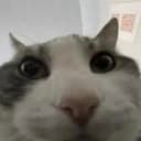 ctm