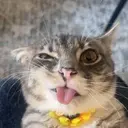 RIGBY