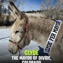 Clyde