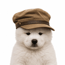 tDOG