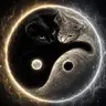 YINYANG