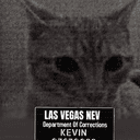 KEVIN