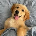 Baileyy