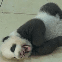 嗯仔