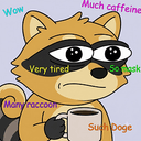 dogecoon
