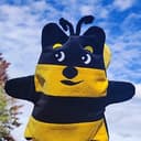 DOGEBEE