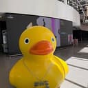 Quackathon