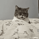 CUMCAT