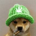 dogwifweed
