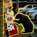 JELLYBEAR