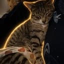FIRECAT