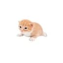 Gary