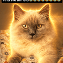 $CATCORE