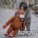 Oramama