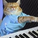KEYCAT