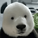 BIAO