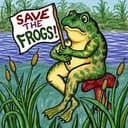 chillfrog