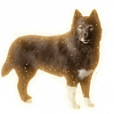 Balto