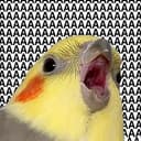 AAAAAAA