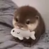 Otter