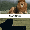 Before vs Now