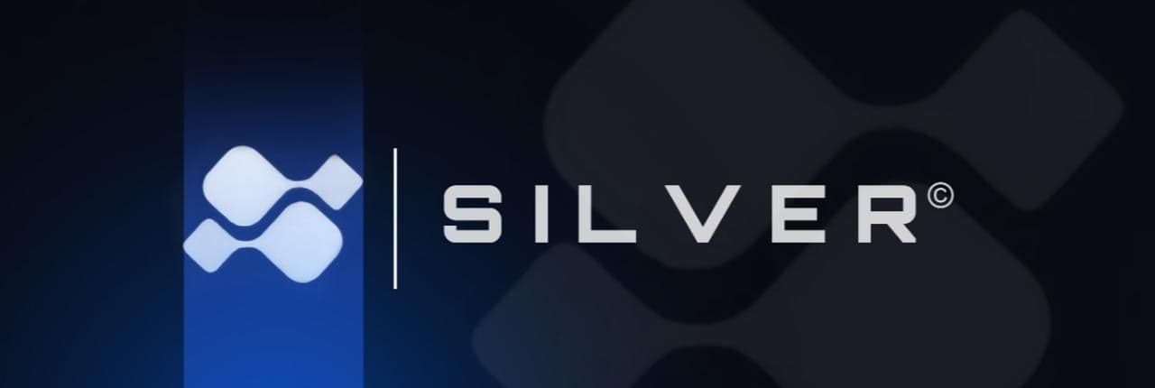 SILVER Banner