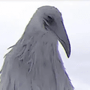 OpiumBird