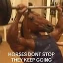 HORSES