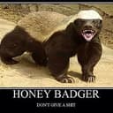 Ratel