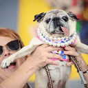 PUG