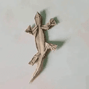 lizard