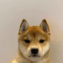 wifout