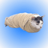 Towel
