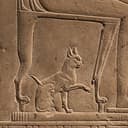 Nedjem