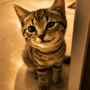 LUCY