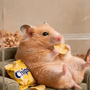 Chips