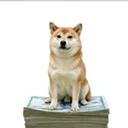 CASHDOG