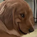 RAPEDOG
