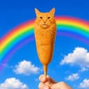 corncat