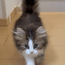 ダリ