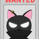 ninja