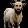 MERTGOAT