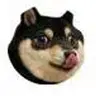 DOGE