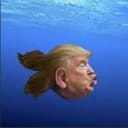 FISHMAN