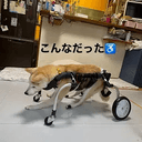 RIKO