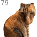 jjaemu