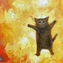chaoscat