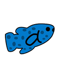 Buddy