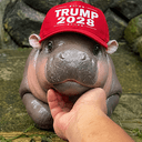 MOOTRUMP